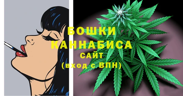 тгк Ладушкин