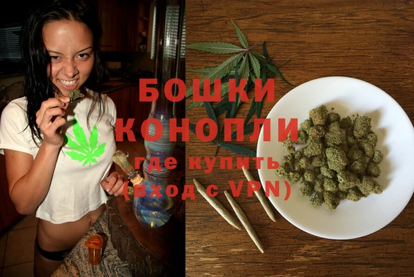 тгк Ладушкин