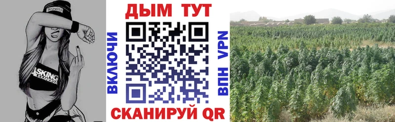 Купить  Невьянск  Канабис план 
